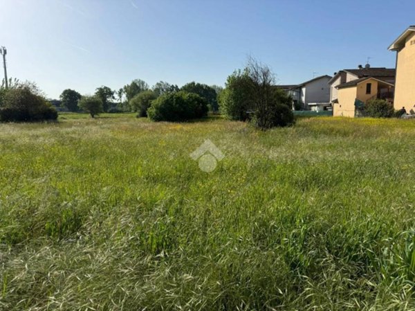 terreno agricolo in vendita a Buggiano in zona Pittini