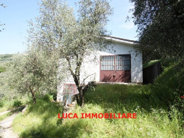 terreno agricolo in vendita a Buggiano