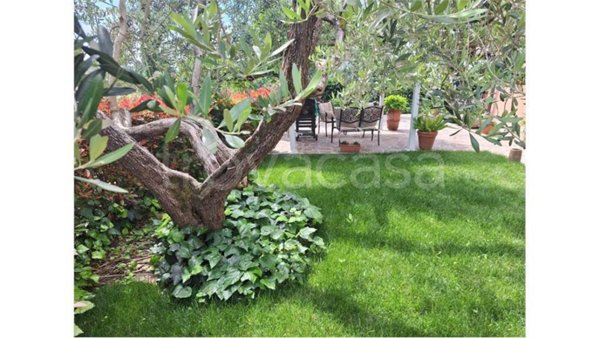 appartamento in vendita a Buggiano