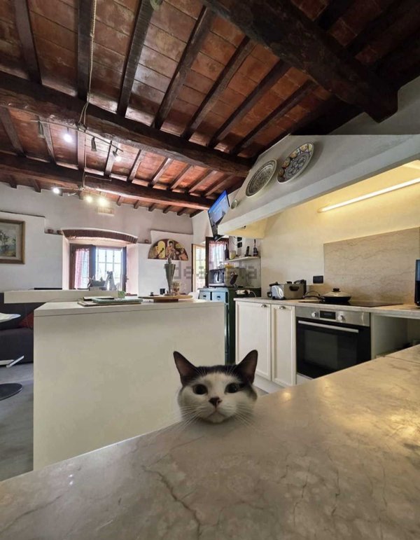 casa indipendente in vendita a Buggiano