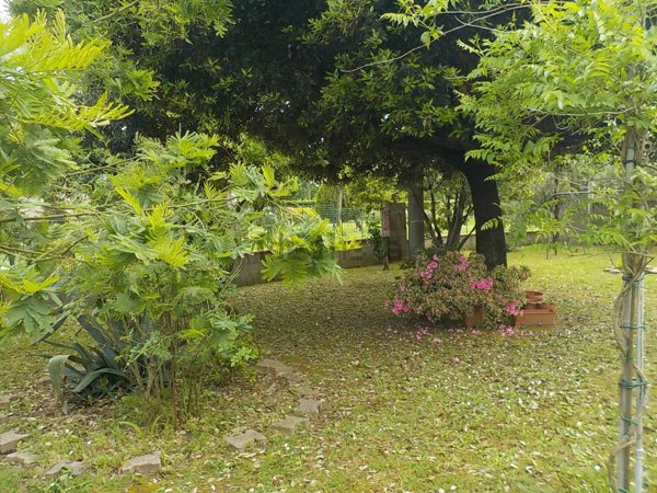appartamento in vendita a Buggiano in zona Borgo a Buggiano