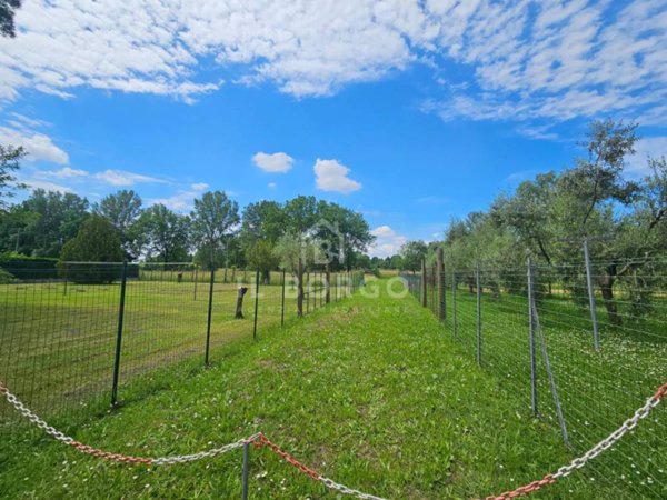 terreno agricolo in vendita a Buggiano in zona Pittini