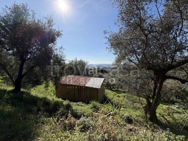 terreno agricolo in vendita a Buggiano in zona Buggiano Castello
