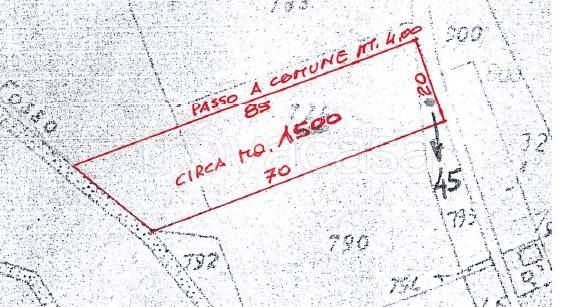terreno agricolo in vendita a Buggiano