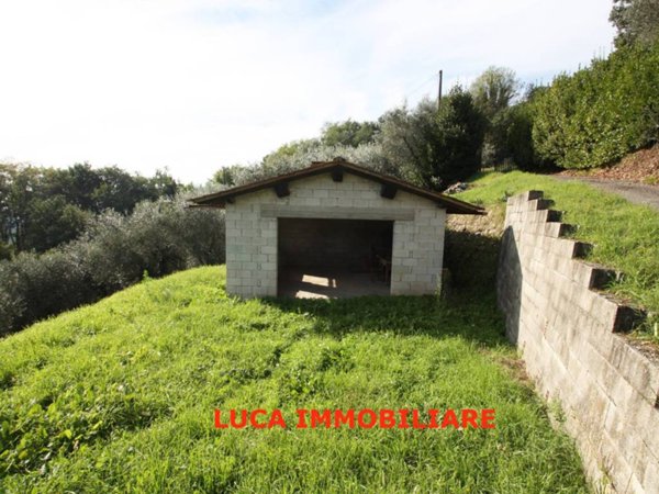 terreno agricolo in vendita a Buggiano in zona Colle di Buggiano