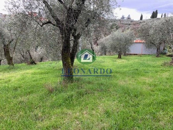 terreno in vendita a Buggiano in zona Colle di Buggiano