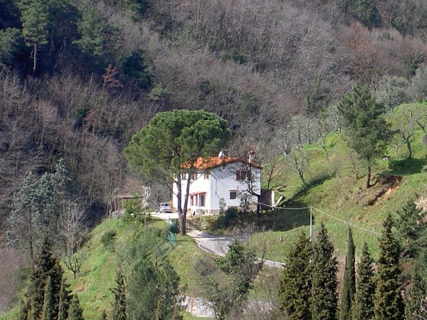 casa indipendente in vendita a Buggiano in zona Colle di Buggiano