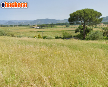 casa indipendente in vendita a Lamporecchio