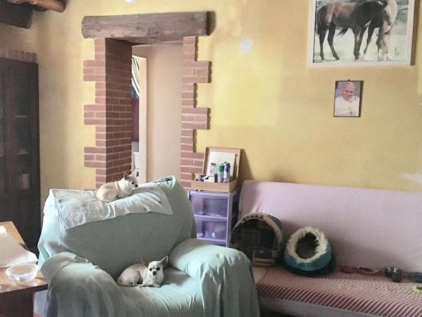 casa indipendente in vendita a Lamporecchio