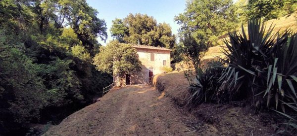 casa indipendente in vendita a Lamporecchio