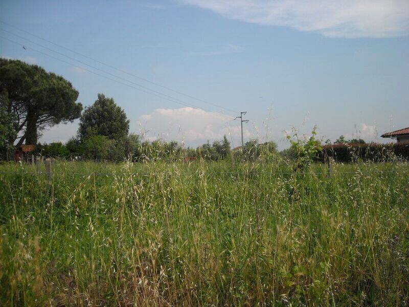 villa in vendita a Lamporecchio