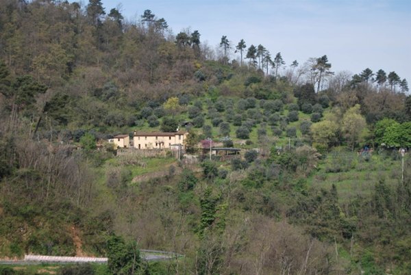 casa indipendente in vendita a Lamporecchio in zona Fornello
