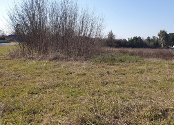 terreno edificabile in vendita a Lamporecchio