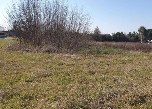 terreno edificabile in vendita a Lamporecchio