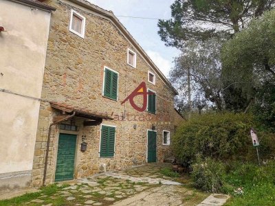 casa indipendente in vendita a Lamporecchio