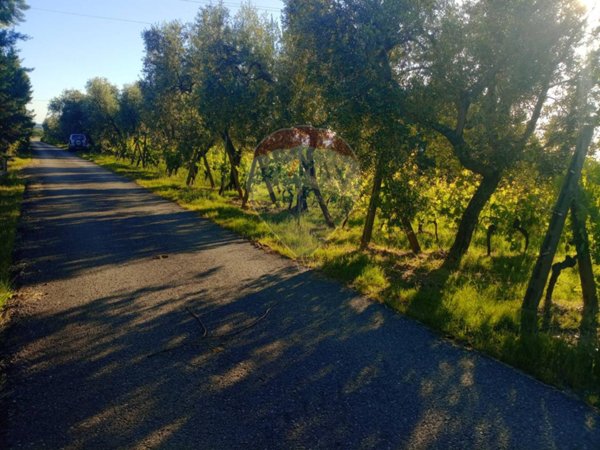 casa indipendente in vendita a Lamporecchio