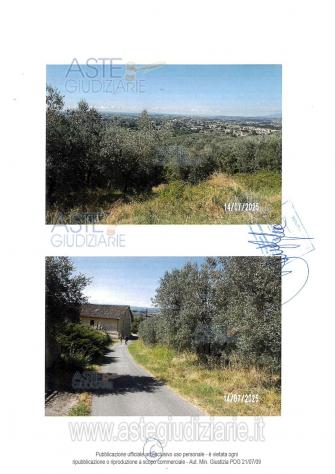 terreno agricolo in vendita a Lamporecchio