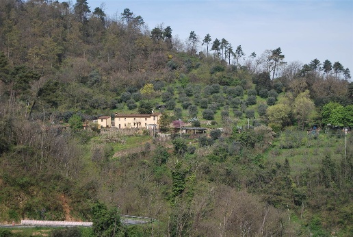 casale in vendita a Lamporecchio