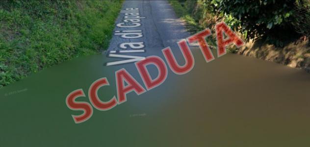 terreno agricolo in vendita a Lamporecchio