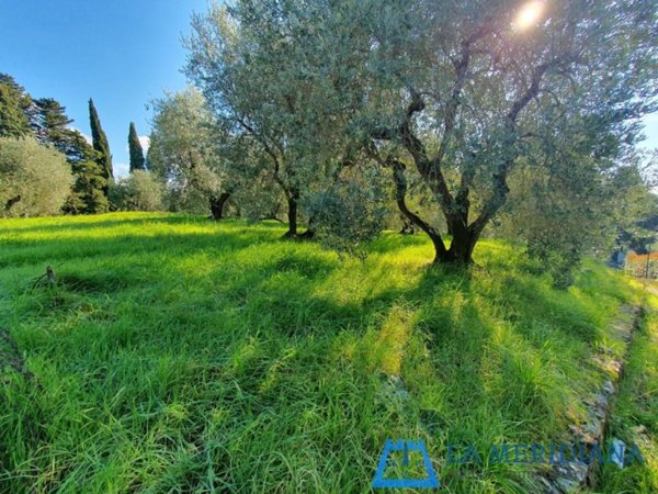 terreno agricolo in vendita a Lamporecchio