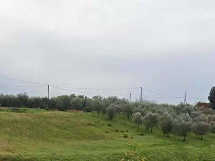 terreno agricolo in vendita a Lamporecchio