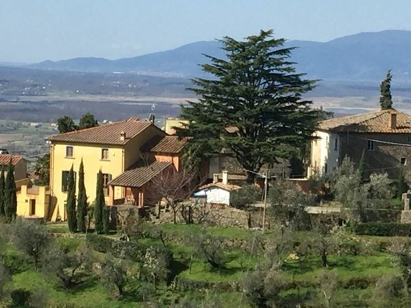 casa indipendente in vendita a Lamporecchio