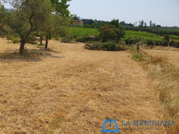 appartamento in vendita a Lamporecchio