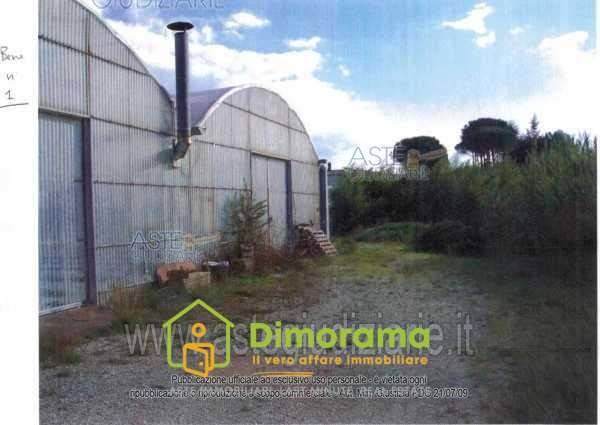 negozio in vendita a Lamporecchio in zona Borgano