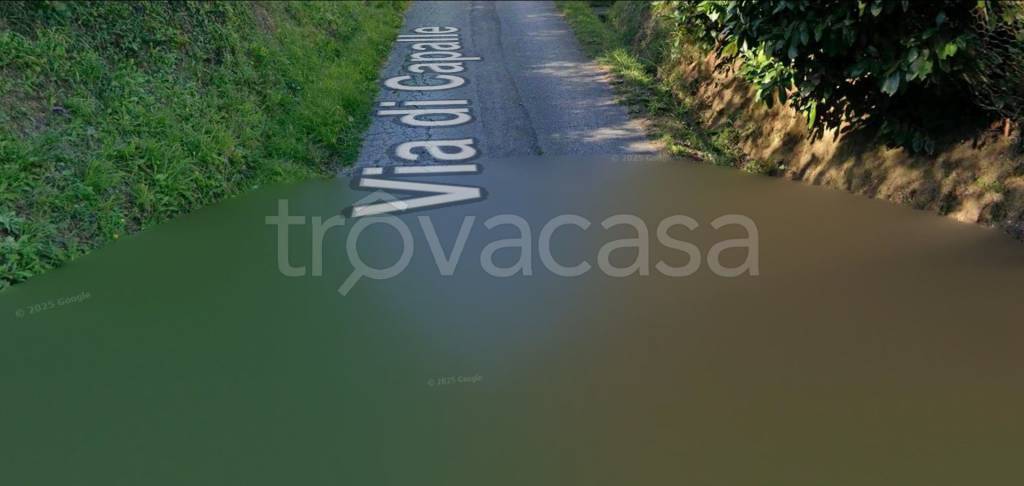 terreno agricolo in vendita a Lamporecchio