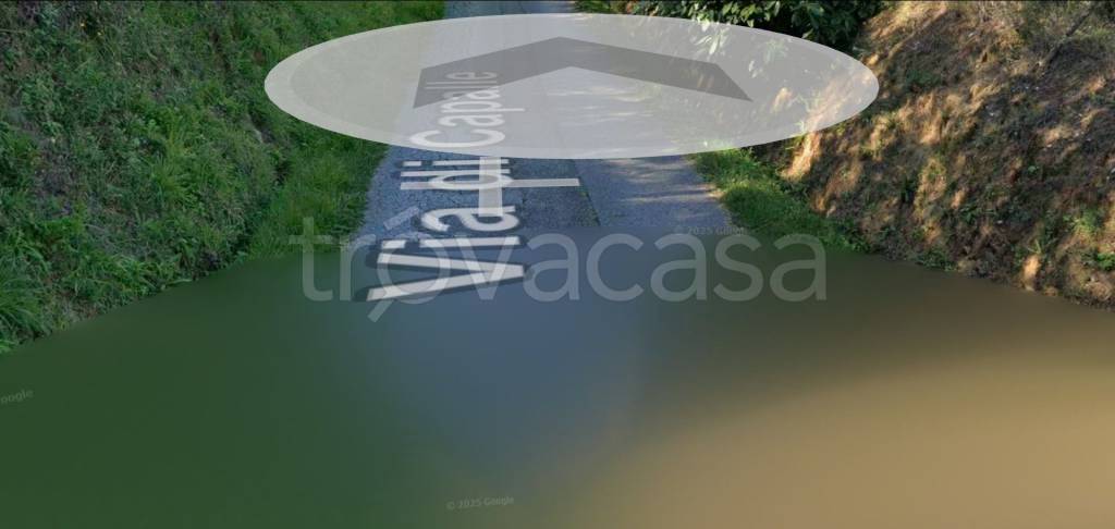 terreno agricolo in vendita a Lamporecchio