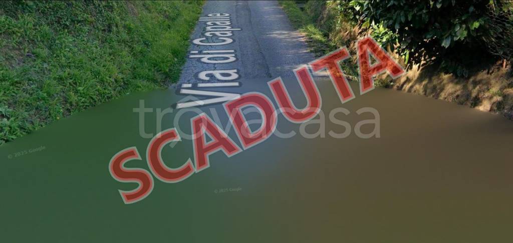 terreno agricolo in vendita a Lamporecchio