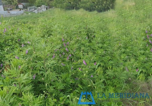 terreno edificabile in vendita a Lamporecchio