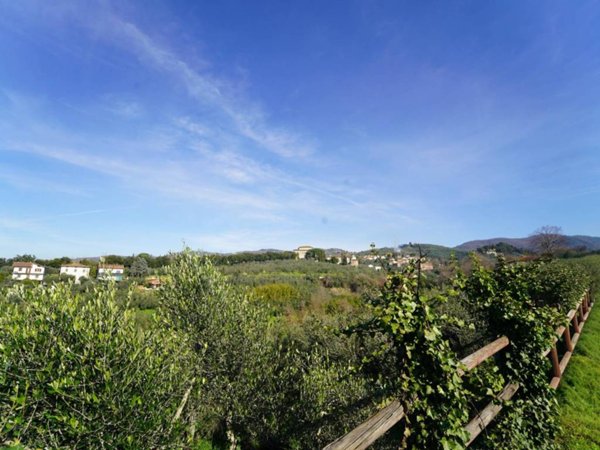 appartamento in vendita a Lamporecchio