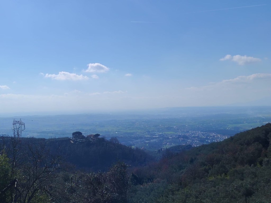 immagine annuncio 0 di 15