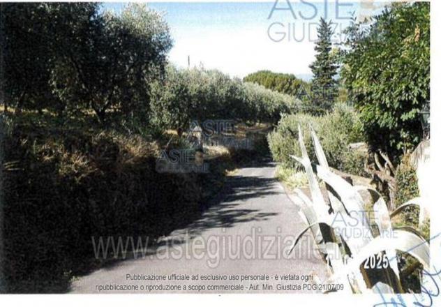 terreno agricolo in vendita a Lamporecchio