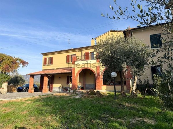 esavano in vendita a Lamporecchio