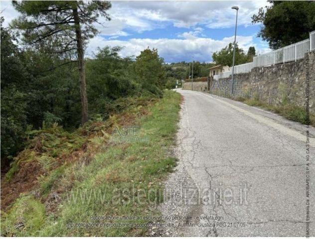 terreno agricolo in vendita a Larciano