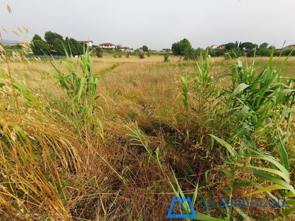 terreno agricolo in vendita a Larciano