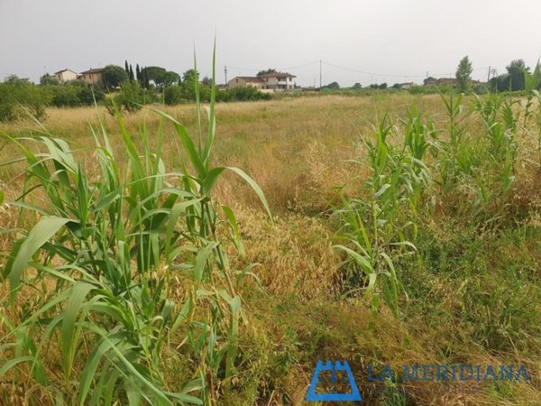 terreno agricolo in vendita a Larciano