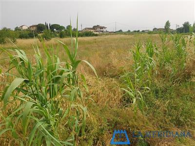 terreno agricolo in vendita a Larciano