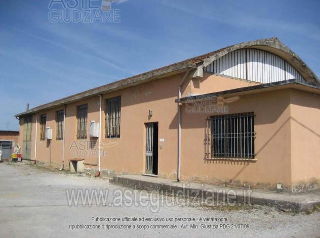 negozio in vendita a Larciano