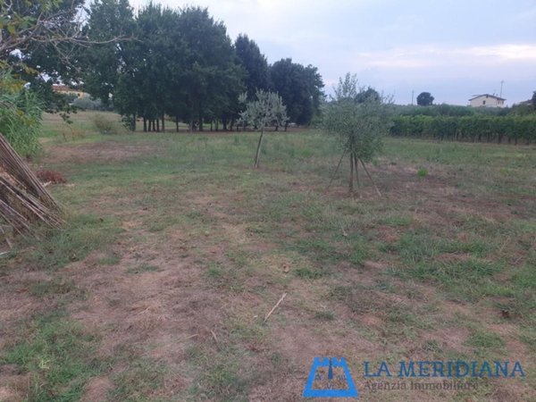 terreno agricolo in vendita a Larciano in zona Biccimurri