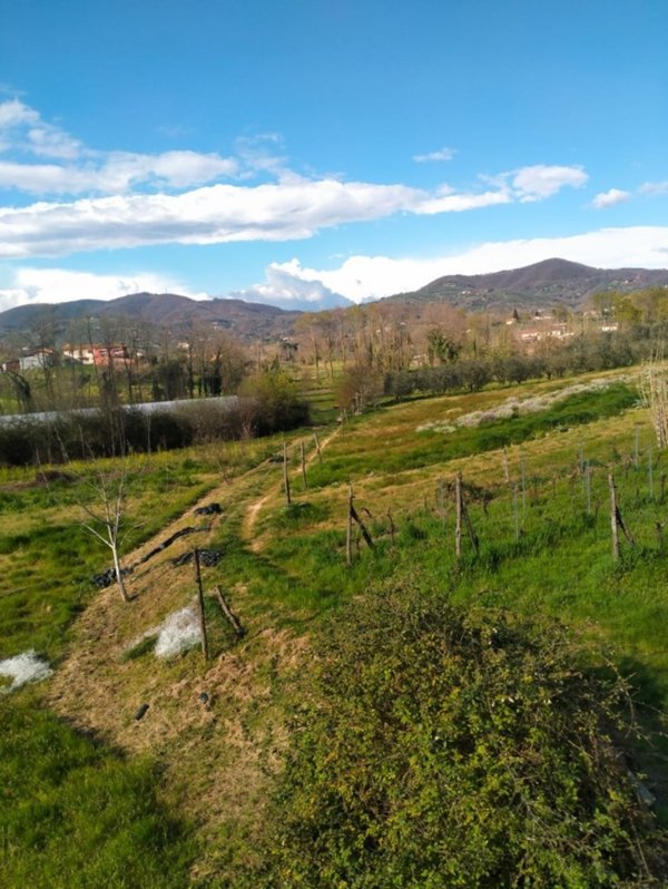casa indipendente in vendita a Larciano in zona Castelmartini