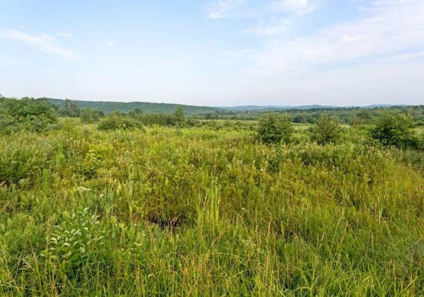 terreno industriale in vendita a Larciano