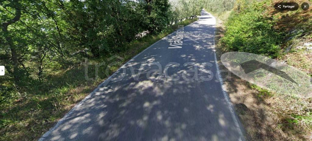 terreno agricolo in vendita a Larciano