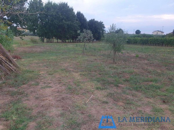 terreno agricolo in vendita a Larciano