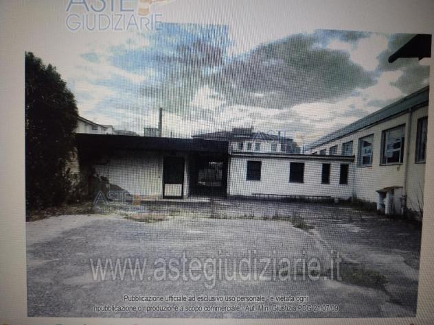 negozio in vendita a Larciano