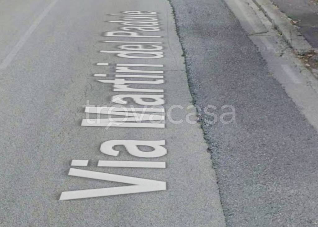 negozio in vendita a Larciano