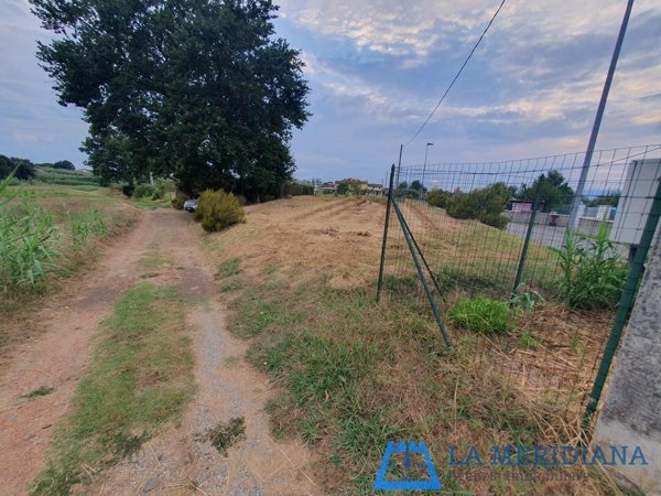 terreno agricolo in vendita a Larciano
