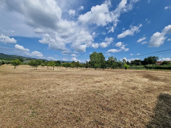 terreno agricolo in vendita a Larciano in zona Castelmartini